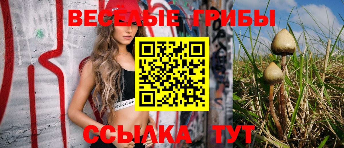 Галлюциногенные грибы мицелий Тосно
